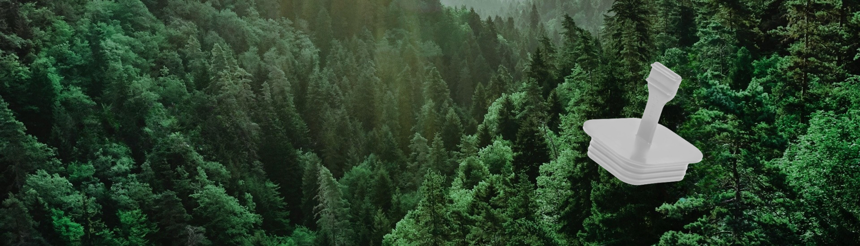 Sustainability at DBI