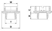 DETAIL2555 Threaded plug for hydraulic units_TG drawing
